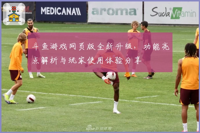 斗鱼游戏网页版全新升级，功能亮点解析与玩家使用体验分享