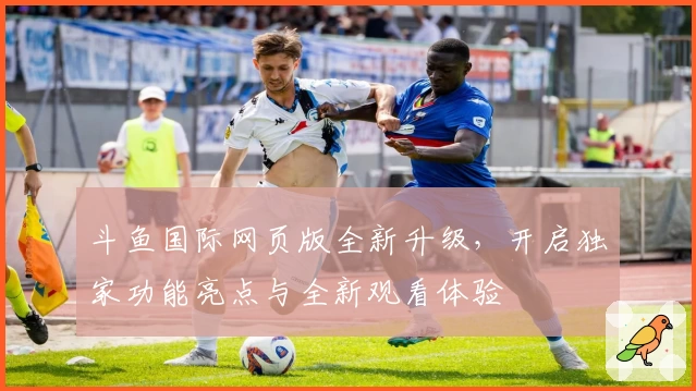 斗鱼国际网页版全新升级，开启独家功能亮点与全新观看体验