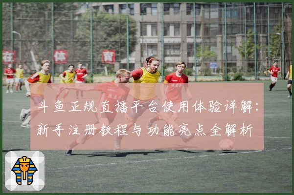 斗鱼正规直播平台使用体验详解：新手注册教程与功能亮点全解析