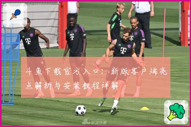 斗鱼下载官方入口：新版客户端亮点解析与安装教程详解