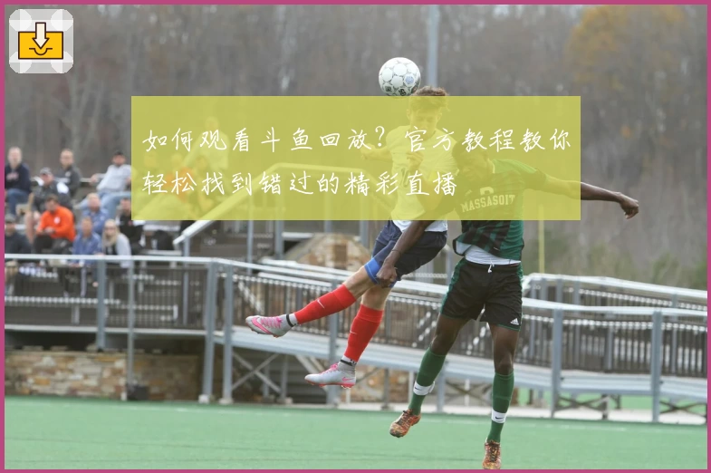 如何观看斗鱼回放？官方教程教你轻松找到错过的精彩直播