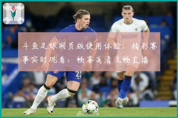 斗鱼足球网页版使用体验：精彩赛事实时观看，畅享高清流畅直播