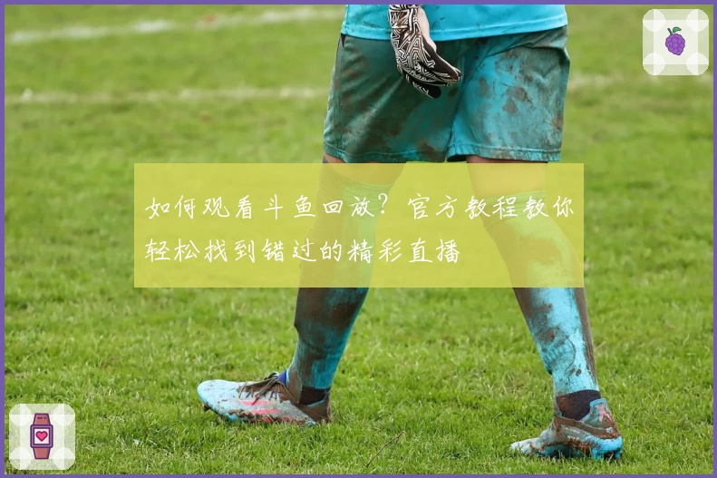 如何观看斗鱼回放？官方教程教你轻松找到错过的精彩直播