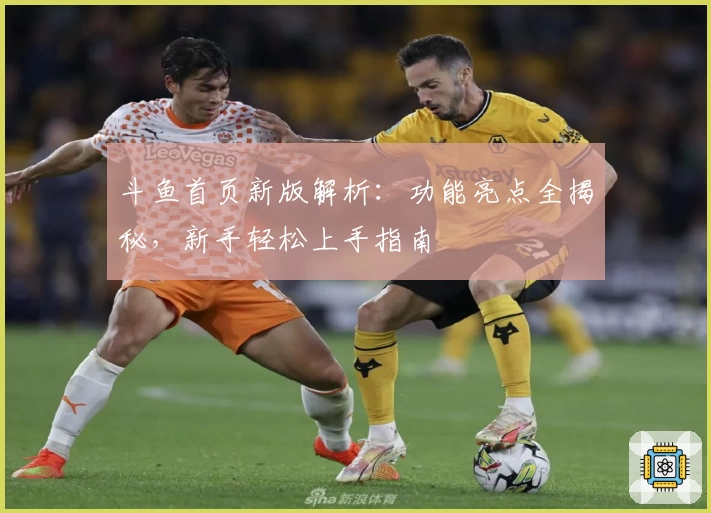 斗鱼首页新版解析:功能亮点全揭秘,新手轻松上手指南