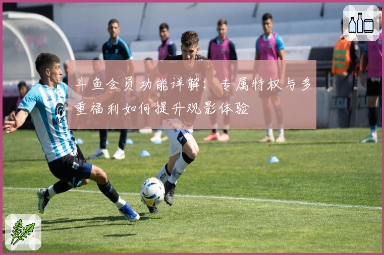 斗鱼会员功能详解：专属特权与多重福利如何提升观影体验