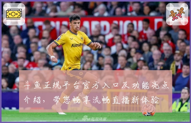 斗鱼正规平台官方入口及功能亮点介绍，带您畅享流畅直播新体验